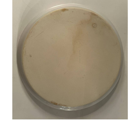 Vintage Home Trends Stoneware Snack Plate with Blue Hearts and Decorated Trim - Picture 4 of 4